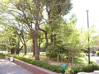 大阪学院大学