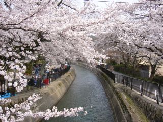 つい花に手を伸ばして落ちてしまいそうな所