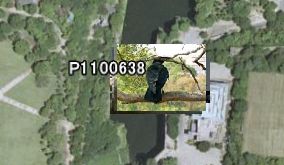 Google Earth マウスカーソルon